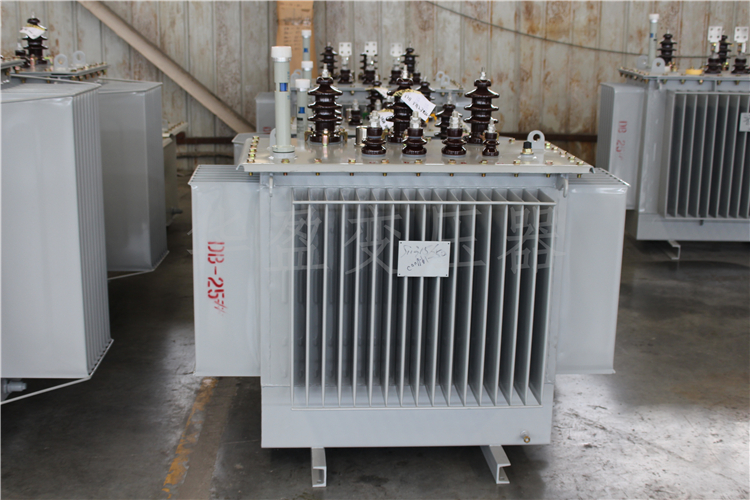 泰州S20-800kVA/10kV/0.4kV变压器